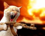 chat
