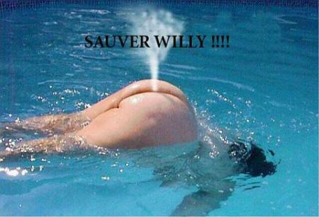 sauver willy